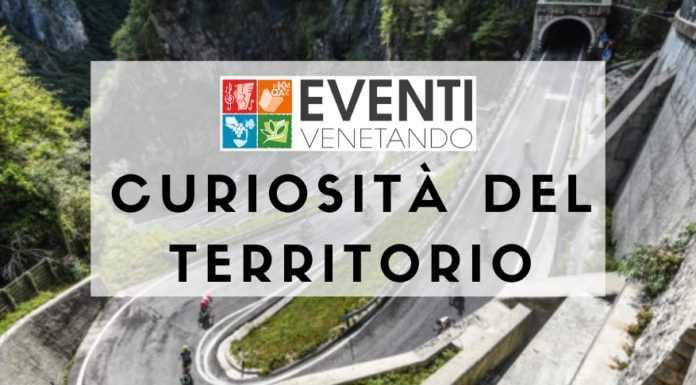 CURIOSITÀ DEL TERRITORIO – SAN BOLDO TRA LE DUE GUERRE: LEPRI, BECCACCE E UN FAGGIO GIGANTESCO