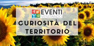 CURIOSITÀ DEL TERRITORIO – UN GIRASOLE DA RECORD