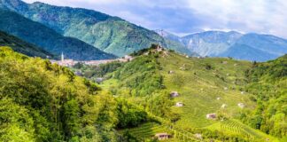 COMBAI, LA CASTANICOLTURA E IL PICCOLO COMBY Combai Moncader