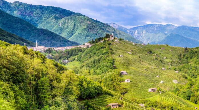 COMBAI, LA CASTANICOLTURA E IL PICCOLO COMBY Combai Moncader