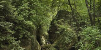 Un canyon suggestivo nascosto tra Collalto e Pieve di Soligo