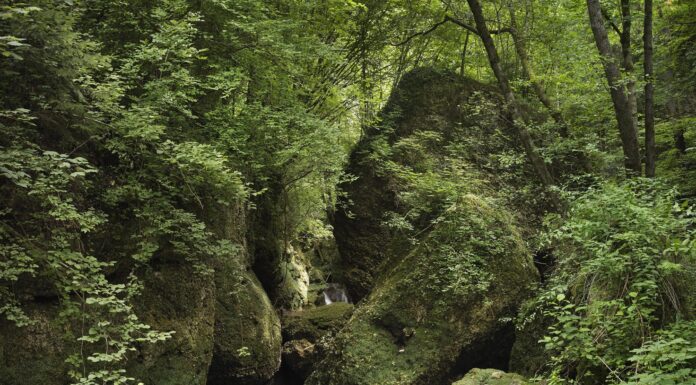 Un canyon suggestivo nascosto tra Collalto e Pieve di Soligo