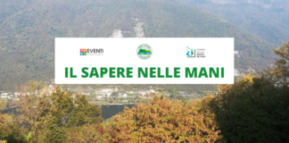 IL SAPERE NELLE MANI