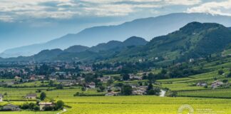 Solighetto: più di 800 anni di storia tra le colline del Prosecco