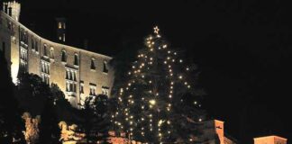 L’albero di Natale vivente più grande d’Italia e altri alberi speciali