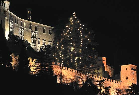 L’albero di Natale vivente più grande d’Italia e altri alberi speciali