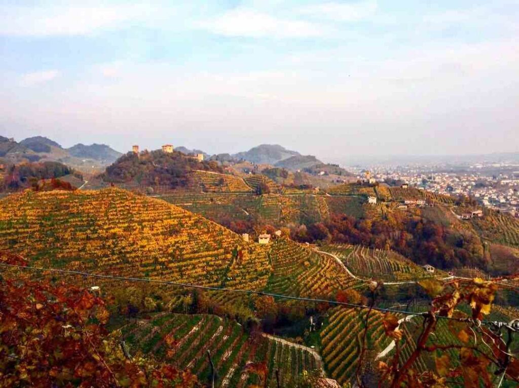 colline-prosecco