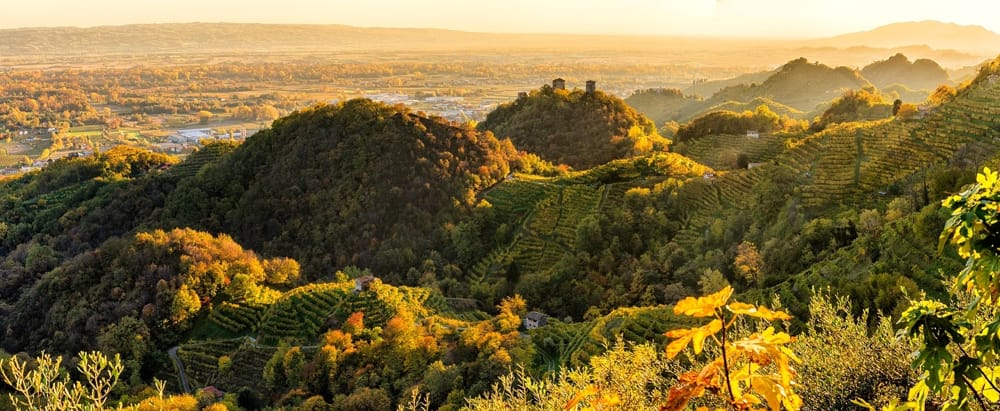 colline1