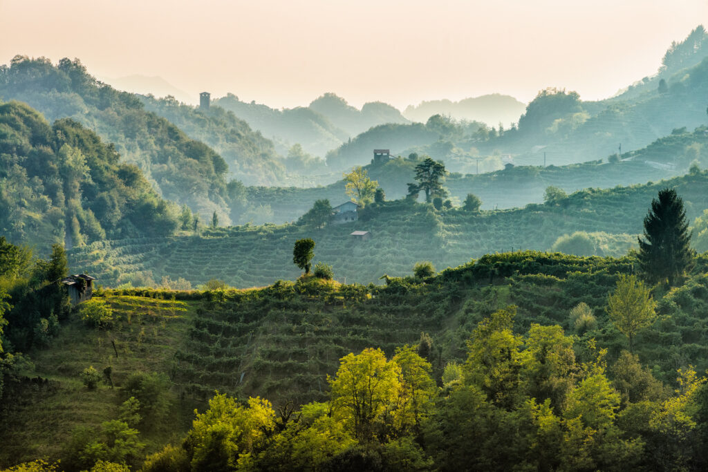 collineprosecco