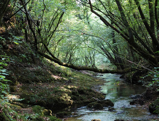UN VERO E PROPRIO CANYON A SAN PIETRO DI FELETTO: SENTIERI SUGGESTIVI TRA NATURA E STORIA crevada6