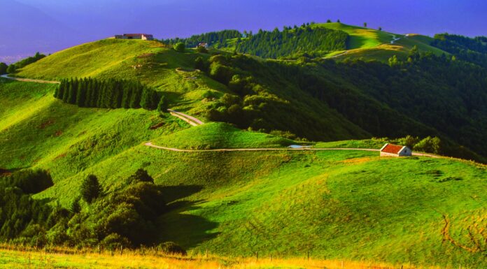 Malghe tra Miane e Borgo Valbelluna 2021