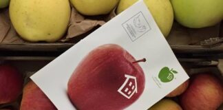 Domenica 14 novembre torna Frutto di un sostegno sociale nelle piazze della Marca Trevigiana