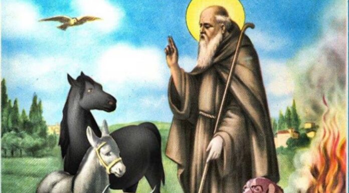 Sant’Antonio Abate, tradizioni, riti e consuetudini del Quartier del Piave