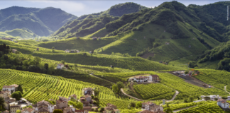 Domenica 27 marzo: prima Giornata Regionale dei Colli Veneti