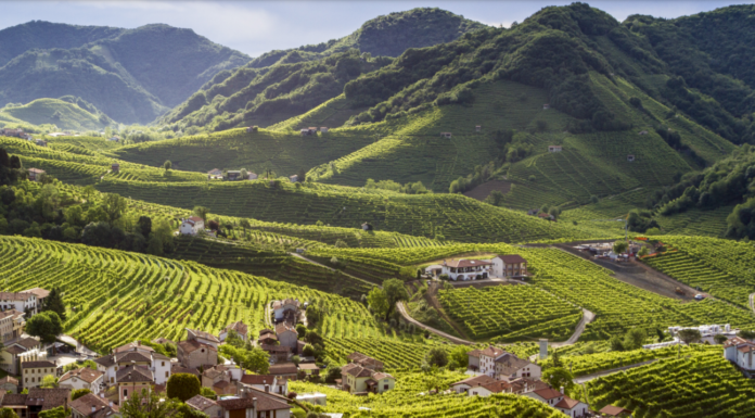 Domenica 27 marzo: prima Giornata Regionale dei Colli Veneti