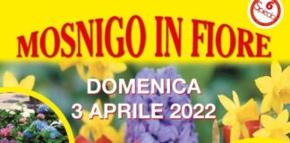 Domenica 3 aprile si terrà la sesta edizione di Mosnigo in fiore