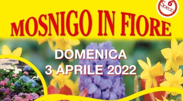 Domenica 3 aprile si terrà la sesta edizione di Mosnigo in fiore