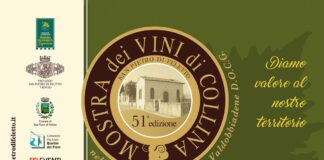 51^ Mostra dei vini di collina dal 28 maggio al 12 giugno, presso l’Eremo Camaldolese a Rua di Feletto