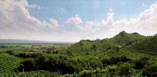 Le colline del Prosecco Superiore nei video promozionali, Esperienze e Perle da scoprire, realizzati grazie alla Regione Veneto