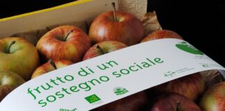 Domenica 13 novembre 2022 torna Frutto di un sostegno sociale: 7000 cassette di mele per aiutare i più fragili.