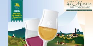 La 47ª Mostra del Torchiato di Fregona è alle porte: venerdì 12 maggio l’inaugurazione