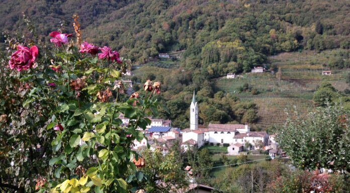 La 79ª Festa dei Marroni di Combai è alle porte