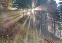 Fotoclub Sernaglia, 30 anni di passione per la fotografia Fotoclub Sernaglia