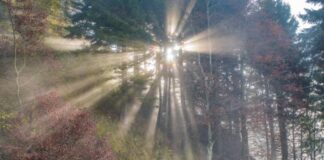 Fotoclub Sernaglia, 30 anni di passione per la fotografia Fotoclub Sernaglia