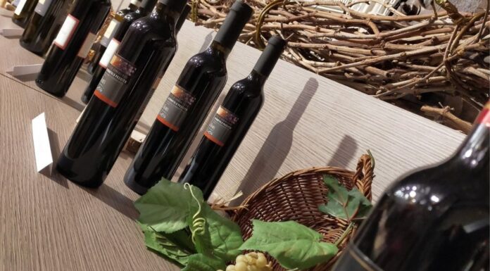 Al via la 48ª Mostra del Torchiato di Fregona Mostra del Torchiato Fregona