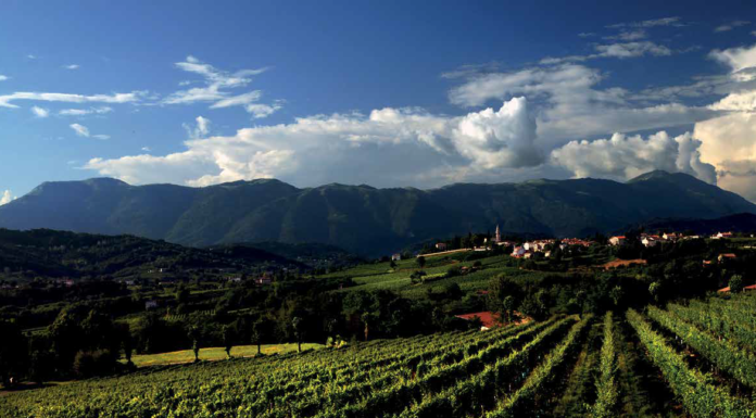 Scopri la 53ª Mostra dei Vini di Collina di Rua di Feletto Mostra dei Vini di Collina Rua di Feletto