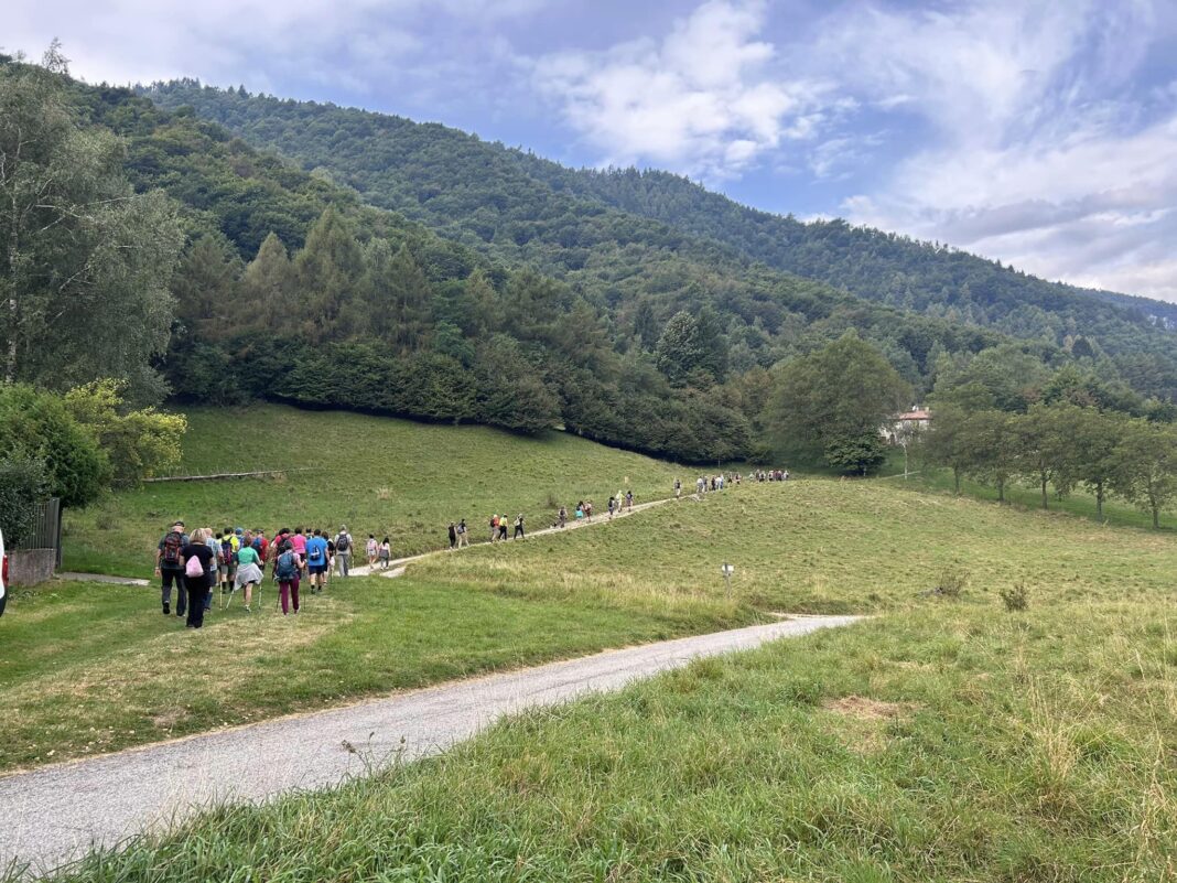 Successo Casere Aperte 13
