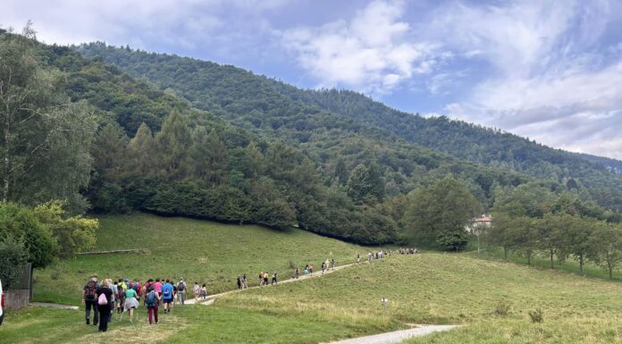 Grande successo per la 13ª edizione di Casere Aperte Successo Casere Aperte 13