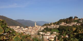 80ª Festa dei Marroni di Combai: un’edizione da non perdere 80ª Festa dei Marroni Combai