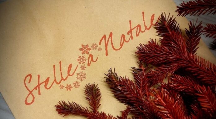 Stelle a Natale: la magia del Natale a Cison di Valmarino Stelle a Natale 2024