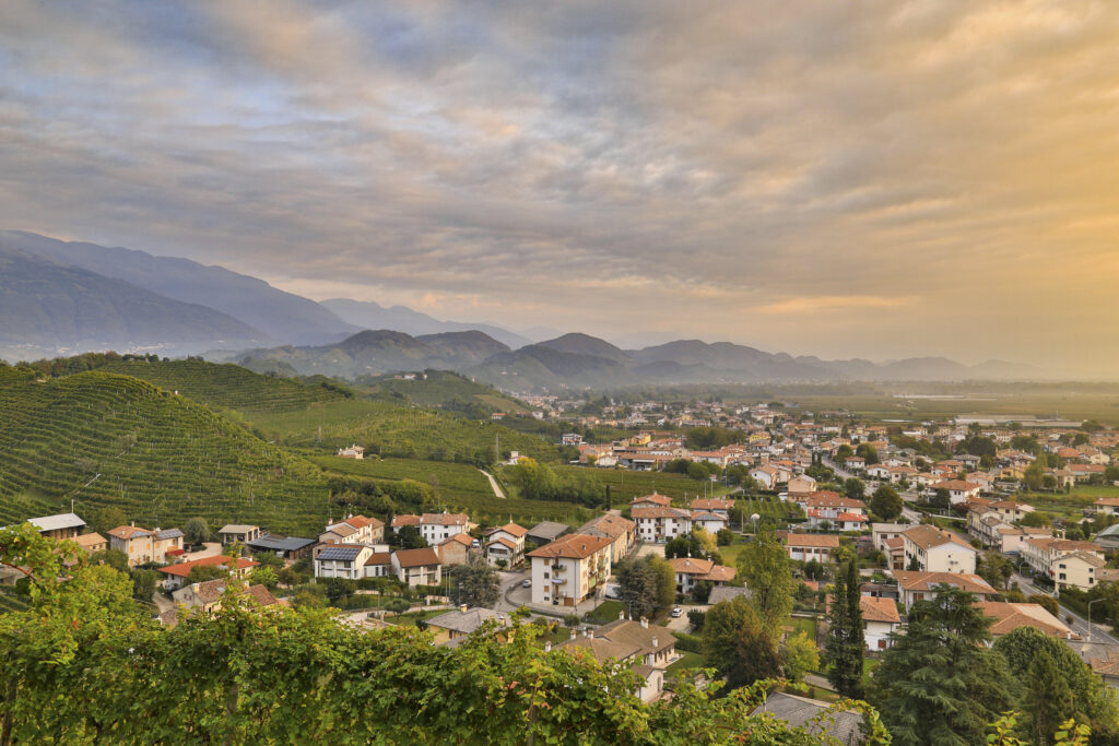 Vidor Chechuz