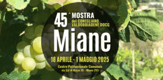 Miane in festa: torna la 45ª Mostra del Conegliano Valdobbiadene DOCG Mostra del Conegliano Valdobbiadene Miane
