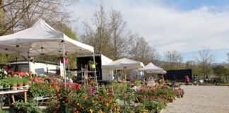 Mosnigo in Fiore 2026: colori, tradizioni e comunità per la 10ª edizione Mosnigo in Fiore 2026
