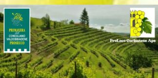 Corbanese celebra la 54ª Mostra del Vino Superiore dei Colli 54a-Mostra-del-Vino-Corbanese