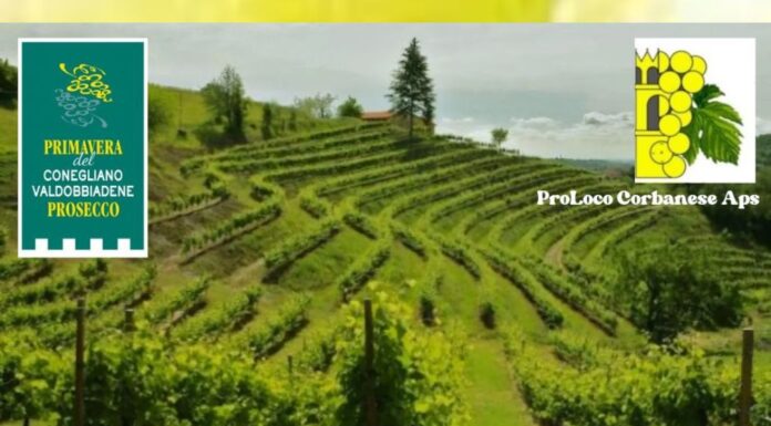 Corbanese celebra la 54ª Mostra del Vino Superiore dei Colli 54a-Mostra-del-Vino-Corbanese