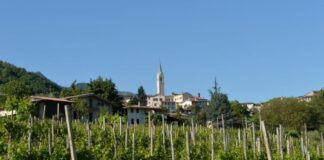 È Verdiso 2025 Combai: la mostra del vino torna dal 9 al 18 maggio È Verdiso 2025 Combai