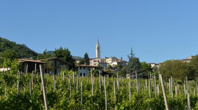 È Verdiso 2025 Combai: la mostra del vino torna dal 9 al 18 maggio È Verdiso 2025 Combai