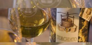 49ª Mostra del Torchiato di Fregona: la tradizione che si rinnova dal 9 al 25 maggio 49ª Mostra Torchiato Fregona