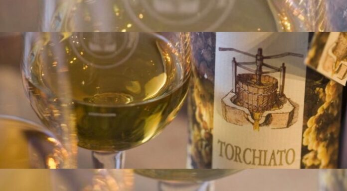 49ª Mostra del Torchiato di Fregona: la tradizione che si rinnova dal 9 al 25 maggio 49ª Mostra Torchiato Fregona