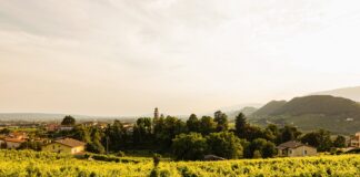 Santa Margherita a Refrontolo: festa, tradizione, spettacolo e… il Palio delle Botti! Santa Margherita Refrontolo 2025