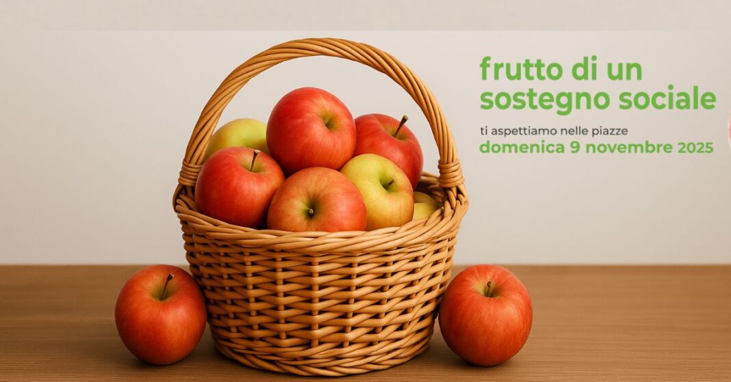 Fss cover blog 2025 Frutto di un sostegno sociale 2025