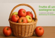 “Frutto di un Sostegno Sociale” 2025: domenica 9 novembre la solidarietà torna nelle piazze della Marca Trevigiana Frutto di un sostegno sociale 2025