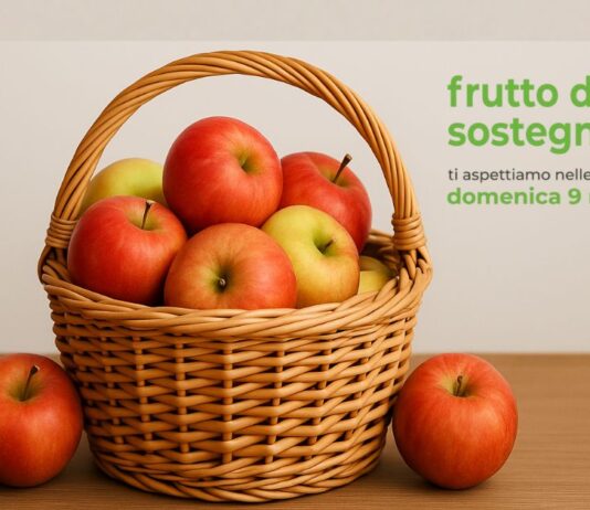 “Frutto di un Sostegno Sociale” 2025: domenica 9 novembre la solidarietà torna nelle piazze della Marca Trevigiana Frutto di un sostegno sociale 2025