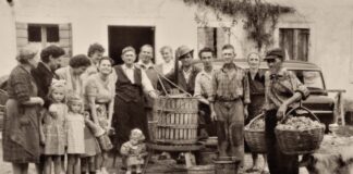 50ª Mostra del Torchiato di Fregona, mezzo secolo di storia e tradizione 50ª Mostra del Torchiato di Fregona
