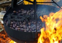Festa dei Marroni di Combai 2026: dal 9 ottobre al 1° novembre tra castagneti, arte e sapori della tradizione Festa dei Marroni di Combai 2026