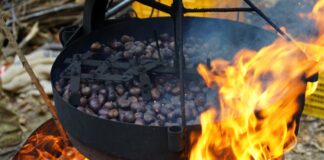 Festa dei Marroni di Combai 2026: dal 9 ottobre al 1° novembre tra castagneti, arte e sapori della tradizione Festa dei Marroni di Combai 2026